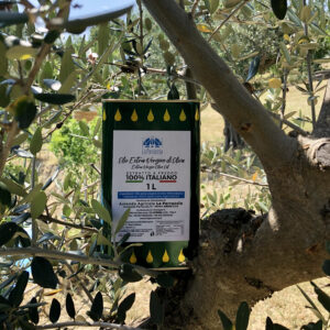 Olio EVO lattina da 1 litro