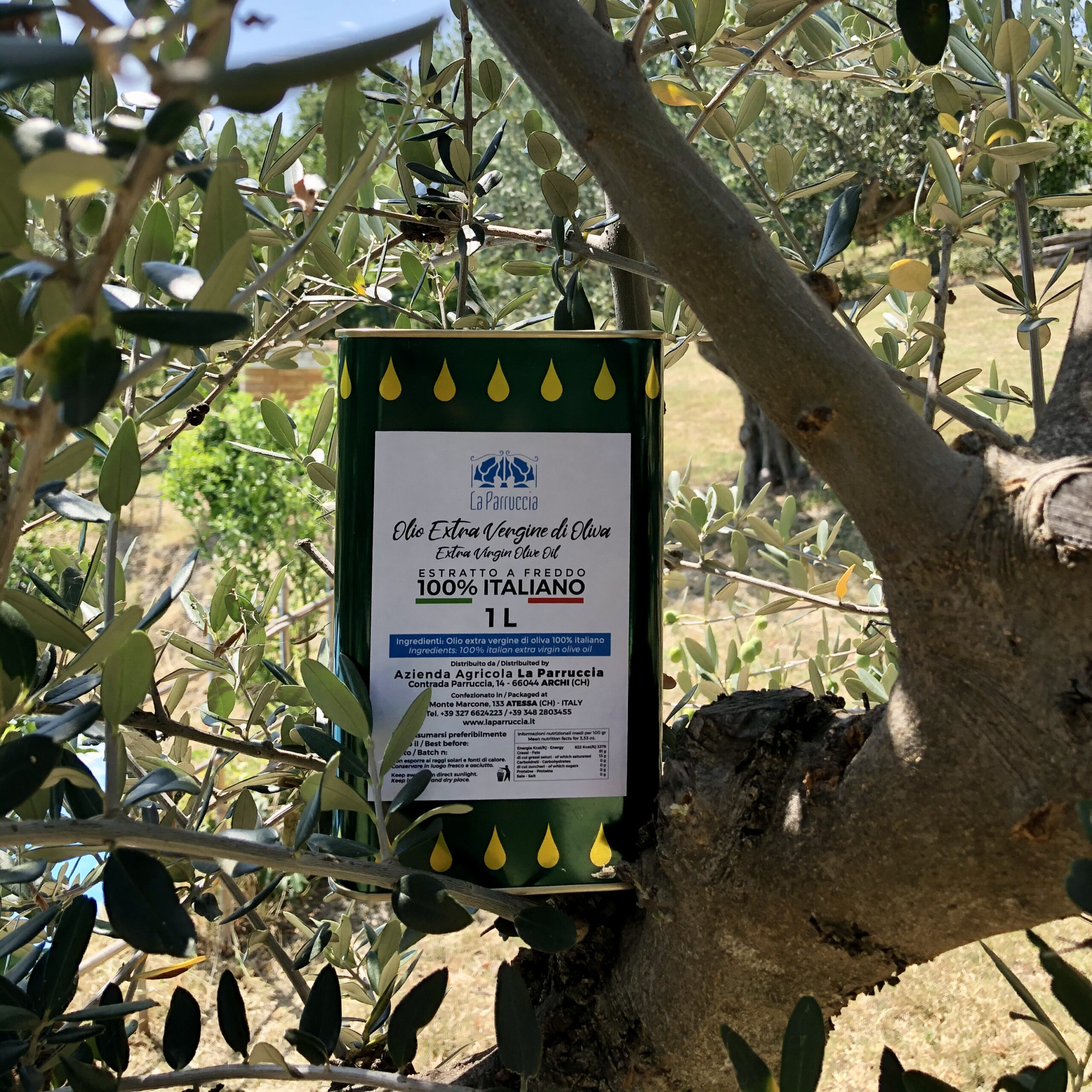 Olio EVO lattina da 1 litro