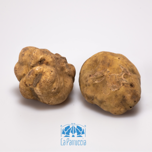 Tartufo pregiato bianco, prima scelta. Provenienza: Abruzzo.