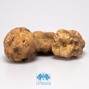 Tartufo bianco pregiato, terza scelta. Provenienza: Abruzzo.