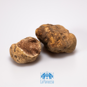 Tartufo bianco pregiato, seconda scelta. Provenienza: Abruzzo.