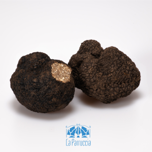 Tartufo uncinato, prima scelta. Provenienza: Abruzzo.