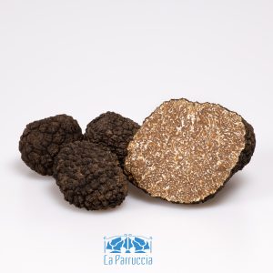 Tartufo estivo o scorzone, seconda scelta. Provenienza: Abruzzo.