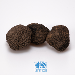 Tartufo uncinato, seconda scelta. Provenienza: Abruzzo.